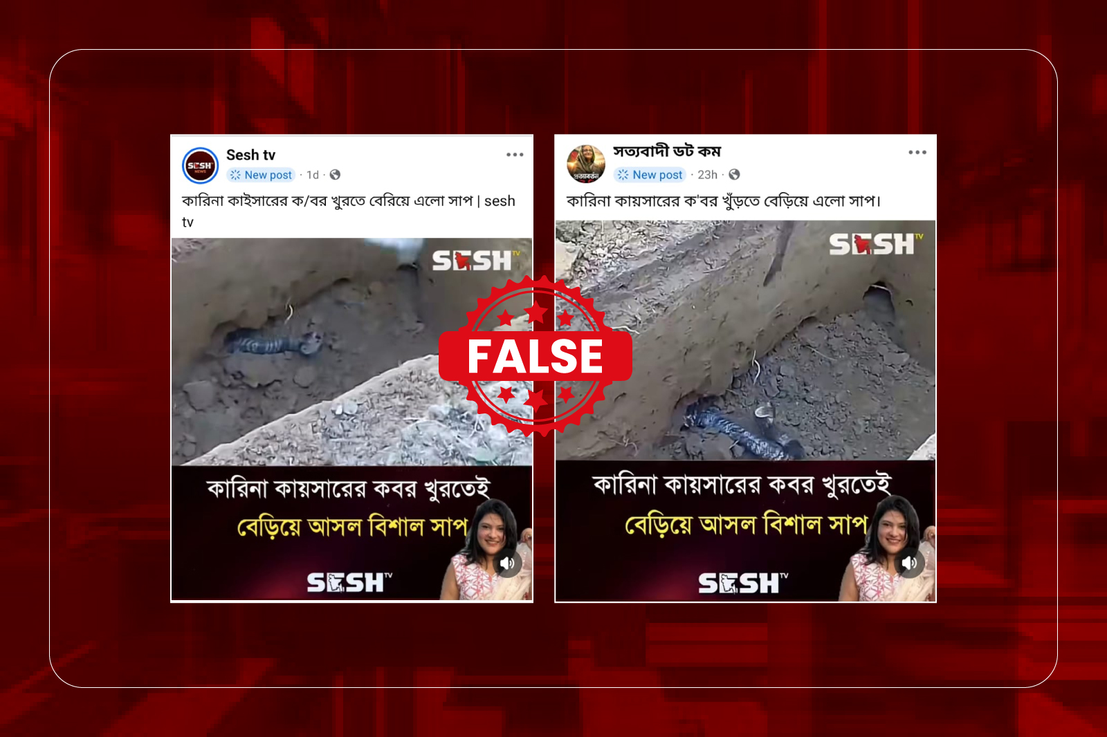 কারিনা কায়সারের কবরের দাবিতে প্রচারিত সাপের ভিডিওটি পুরোনো